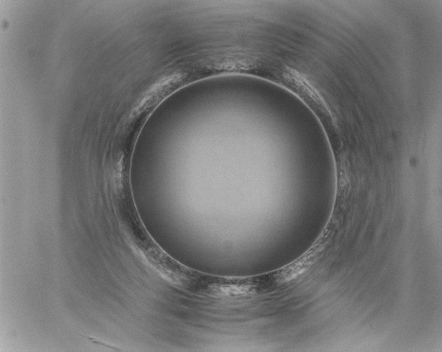 X0000059090163200510172103