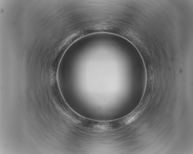 X0000059090164200510172103