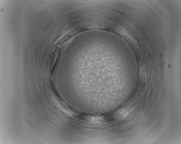 X0000059090165200510172103