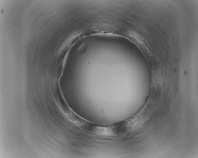 X0000059090167200510172104