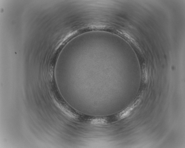 X0000059090168200510172104