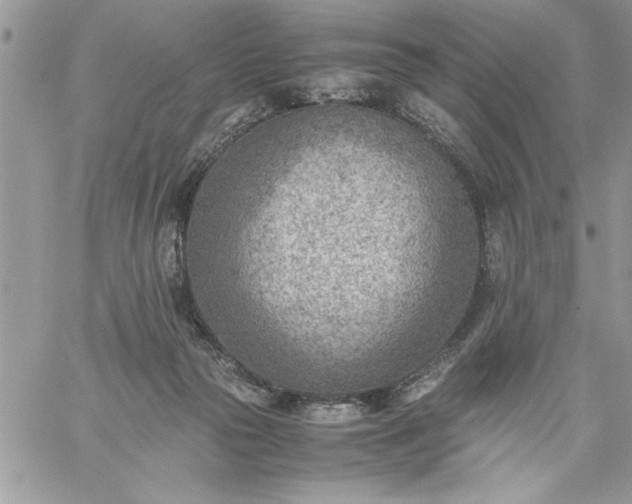 X0000059090169200510172104