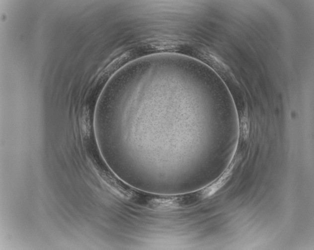 X0000059090170200510172104