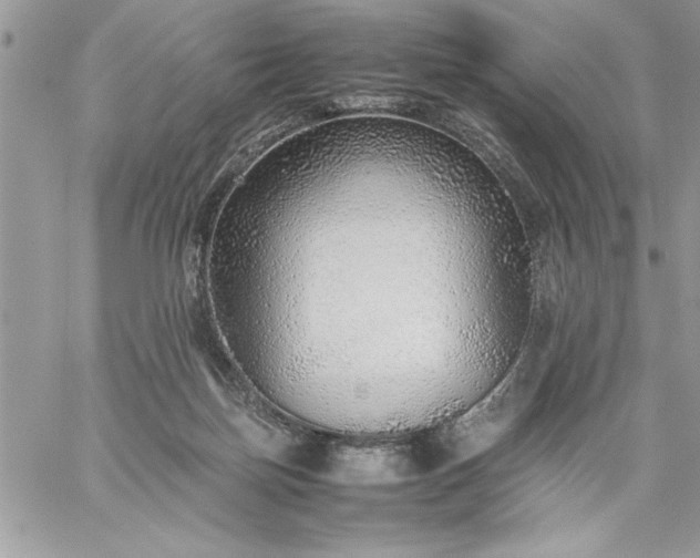 X0000059090171200510172104