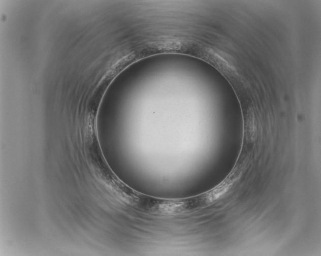 X0000059090172200510172104