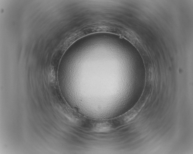 X0000059090173200510172104