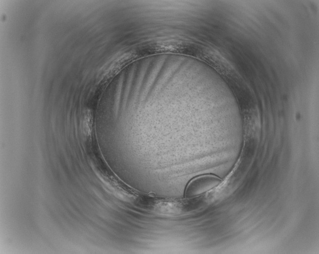 X0000059090174200510172104