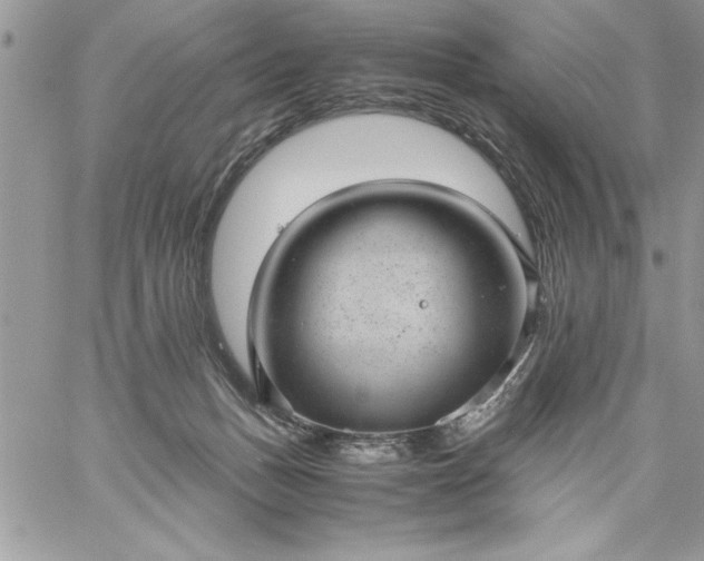 X0000059090175200510172104