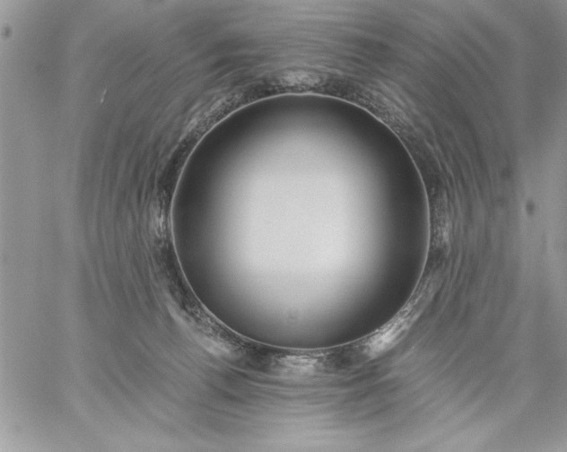 X0000059090176200510172104