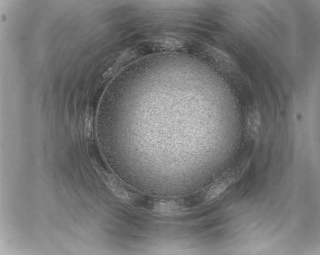 X0000059090177200510172104