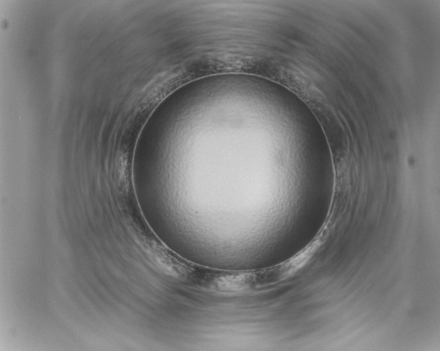 X0000059090178200510172104