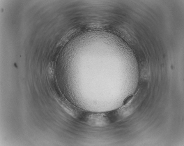 X0000059090179200510172104