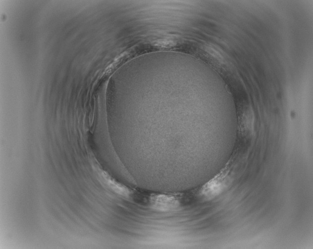 X0000059090180200510172104