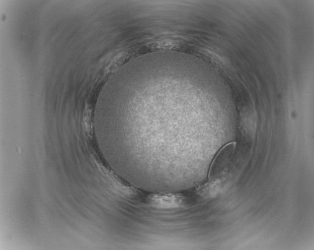 X0000059090181200510172104