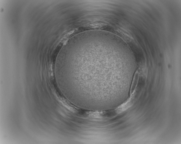 X0000059090182200510172104