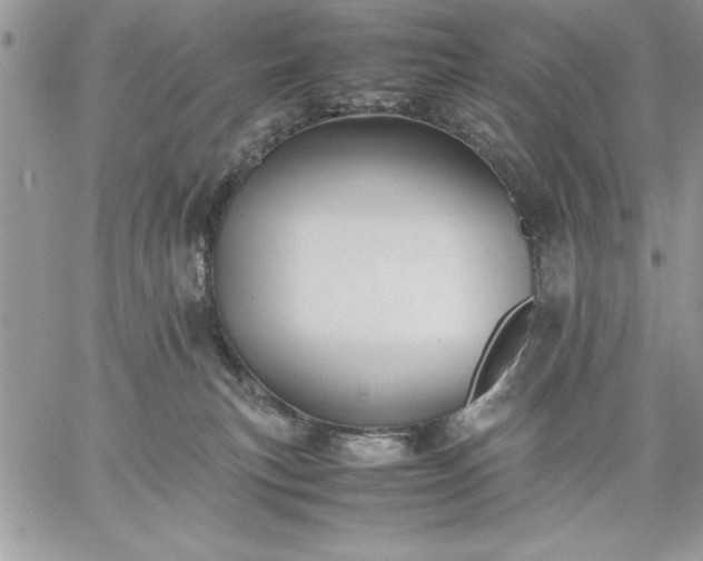 X0000059090183200510172104