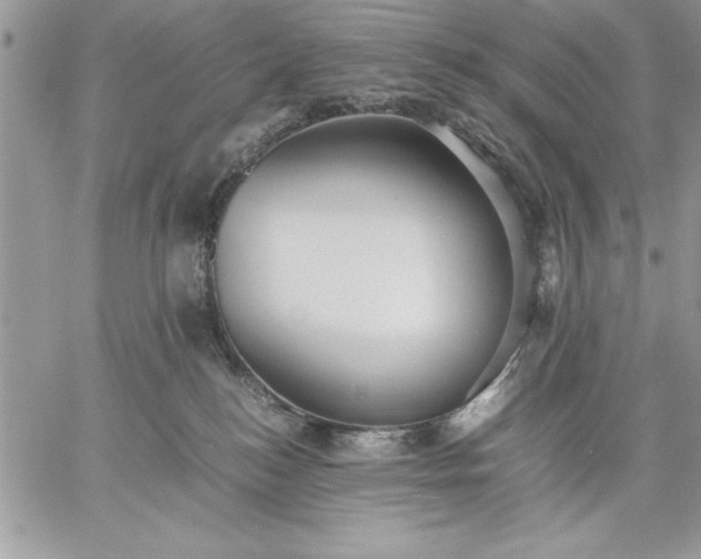 X0000059090184200510172104