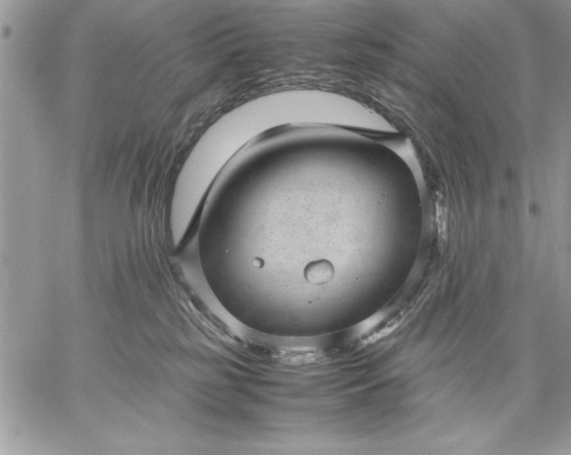 X0000059090185200510172104