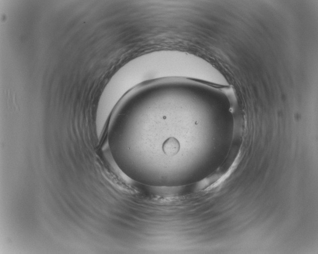 X0000059090186200510172104