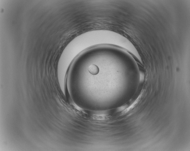 X0000059090187200510172104