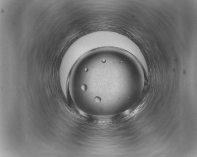 X0000059090188200510172104