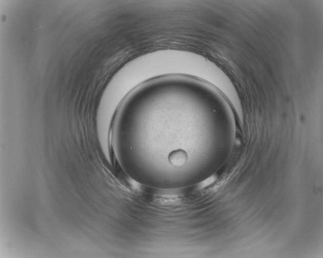 X0000059090189200510172104