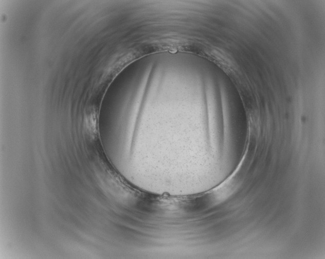 X0000059090190200510172104