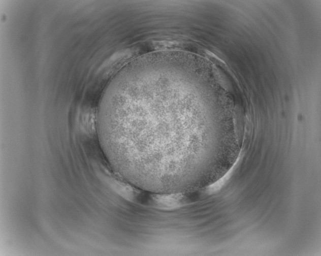 X0000059090191200510172104