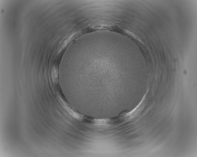 X0000059090192200510172104