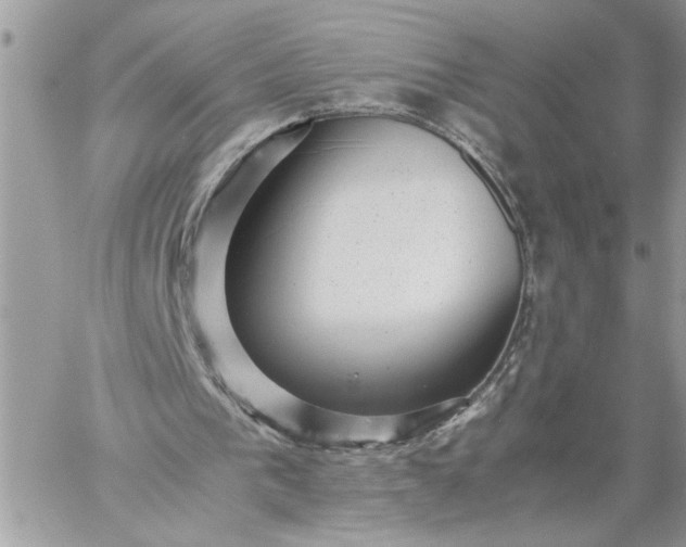 X0000059090193200510172103