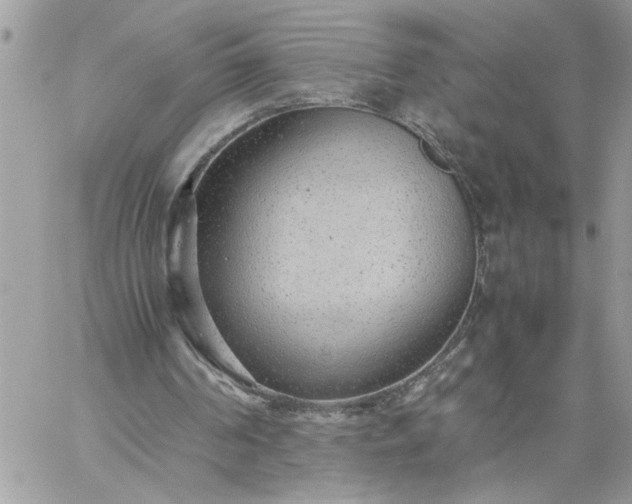 X0000059090194200510172103