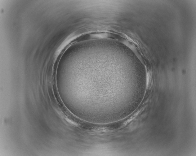 X0000059090195200510172103