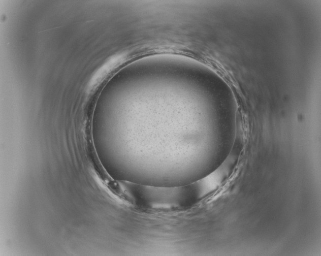 X0000059090197200510172103