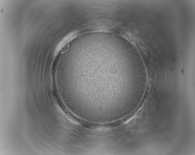 X0000059090198200510172103