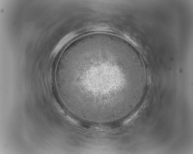 X0000059090199200510172103