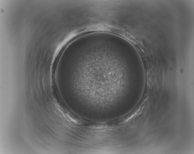 X0000059090200200510172103