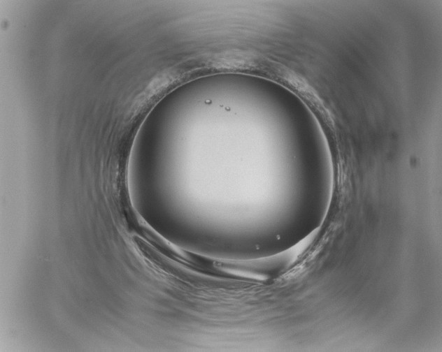 X0000059090201200510172103