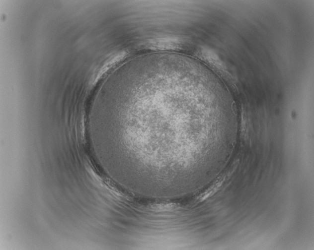 X0000059090202200510172103