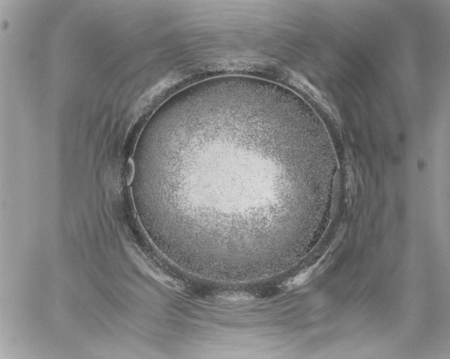 X0000059090203200510172103