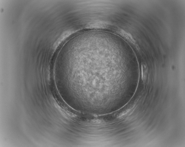 X0000059090204200510172103