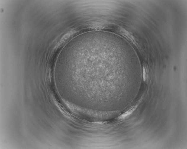 X0000059090205200510172103