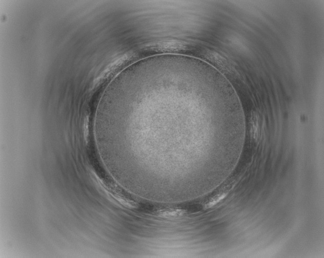 X0000059090206200510172103