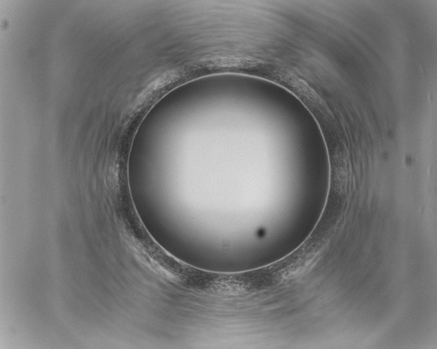 X0000059090207200510172103