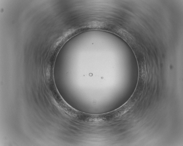 X0000059090208200510172103