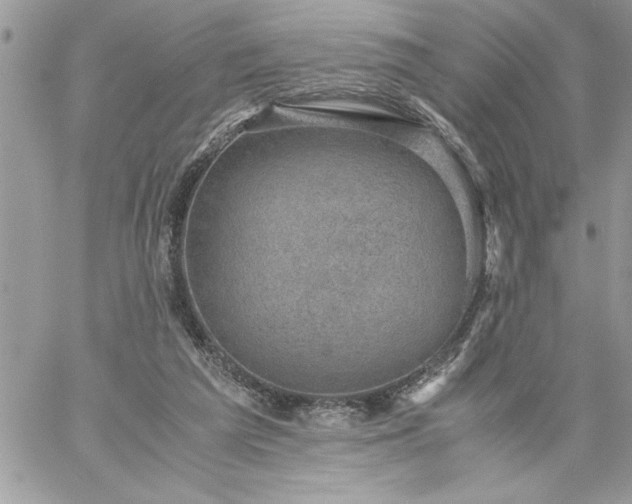 X0000059090209200510172103