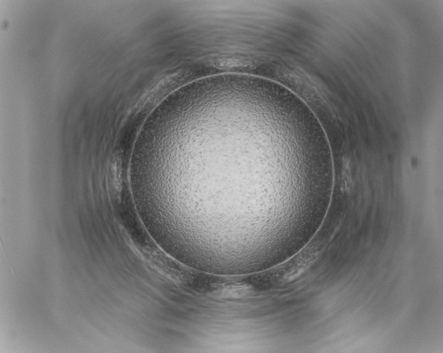 X0000059090210200510172103