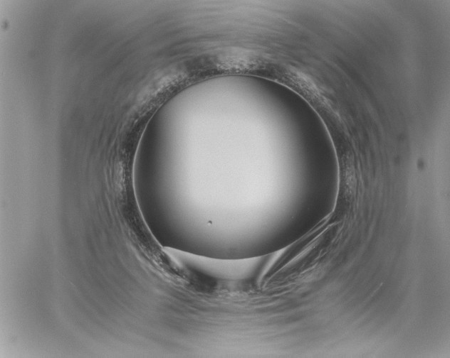 X0000059090211200510172103