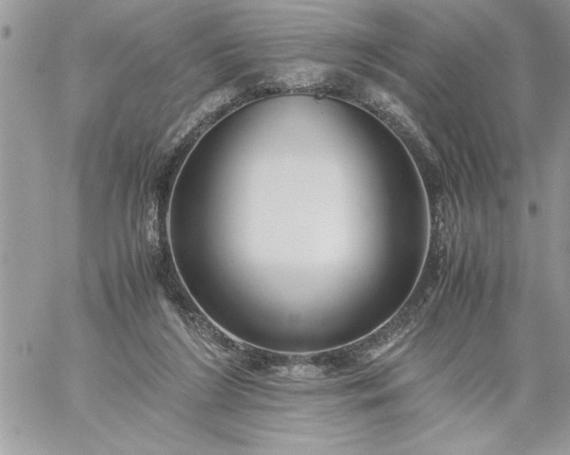 X0000059090212200510172103