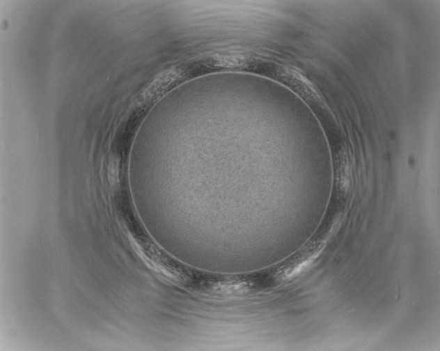 X0000059090213200510172103