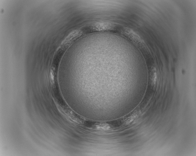 X0000059090214200510172103